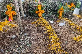 Cemetery Del Carmen Is Decorated Whit Cempaschil Flowers For Day Of The Dead