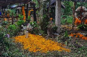 Cemetery Del Carmen Is Decorated Whit Cempaschil Flowers For Day Of The Dead