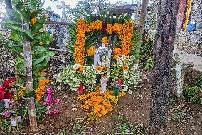 Cemetery Del Carmen Is Decorated Whit Cempaschil Flowers For Day Of The Dead