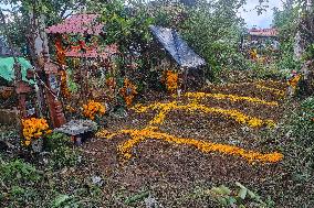 Cemetery Del Carmen Is Decorated Whit Cempaschil Flowers For Day Of The Dead