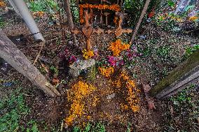 Cemetery Del Carmen Is Decorated Whit Cempaschil Flowers For Day Of The Dead