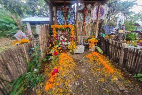 Cemetery Del Carmen Is Decorated Whit Cempaschil Flowers For Day Of The Dead