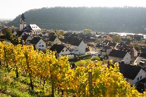 Autumn Winery Field In Leutesdorf