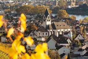 Autumn Winery Field In Leutesdorf