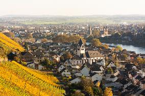 Autumn Winery Field In Leutesdorf