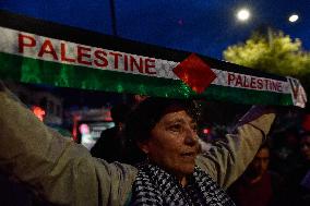 Pro-Palestine Demosntrations as the Israel-Hamas Conflict marks a Year