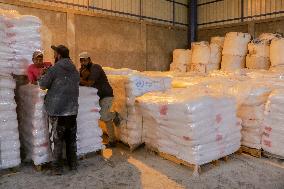 Palestinians Collect Flour - Gaza