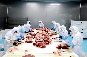 Beef Cattle Processing Industry