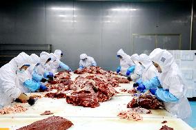 Beef Cattle Processing Industry