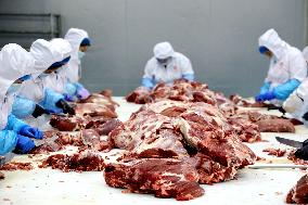 Beef Cattle Processing Industry