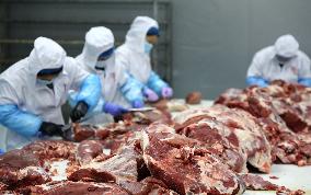 Beef Cattle Processing Industry