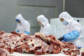 Beef Cattle Processing Industry