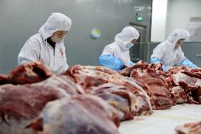 Beef Cattle Processing Industry