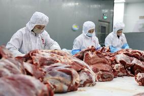 Beef Cattle Processing Industry