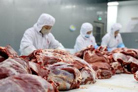 Beef Cattle Processing Industry