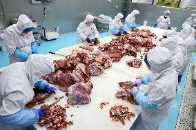 Beef Cattle Processing Industry