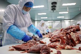 Beef Cattle Processing Industry