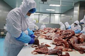 Beef Cattle Processing Industry