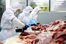 Beef Cattle Processing Industry