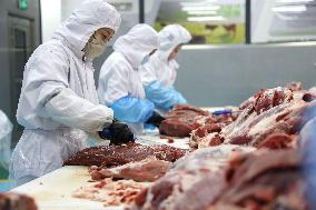 Beef Cattle Processing Industry