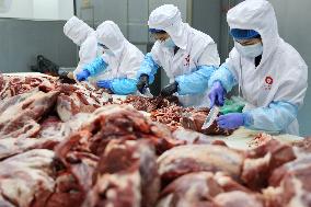 Beef Cattle Processing Industry