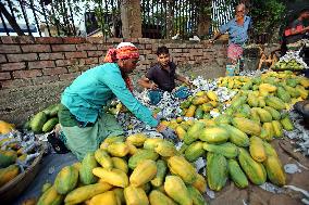 Tropical Fruits Market - Dhaka