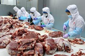 Beef Cattle Processing Industry