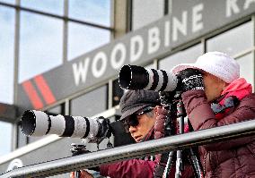 Thoroughbred Horse Racing At Woodbine Racetrack