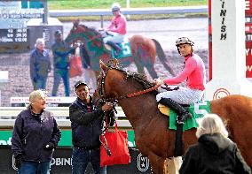 Thoroughbred Horse Racing At Woodbine Racetrack