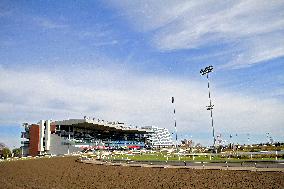 Thoroughbred Horse Racing At Woodbine Racetrack