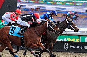 Thoroughbred Horse Racing At Woodbine Racetrack