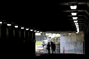 Thoroughbred Horse Racing At Woodbine Racetrack