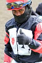 Thoroughbred Horse Racing At Woodbine Racetrack