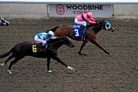 Thoroughbred Horse Racing At Woodbine Racetrack