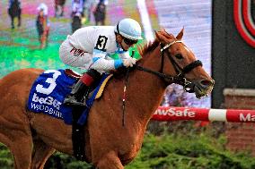 Thoroughbred Horse Racing At Woodbine Racetrack