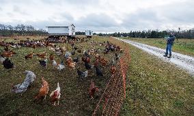 Poultry farming