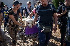 Spain Disaster Death Toll Reaches 214 - Valencia