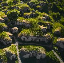 The Palmenti Of Pietragalla: Ancient Wine Cellars. A Unique Heritage Of Southern Italy