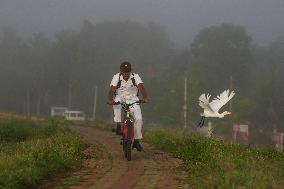 Daily Life In Sri Lanka