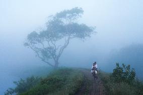 Daily Life In Sri Lanka