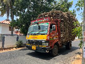 Daily Life In Kerala