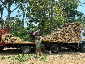 Daily Life In Kerala