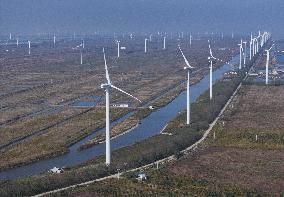 Green Energy Development - China