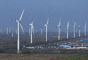 Green Energy Development - China