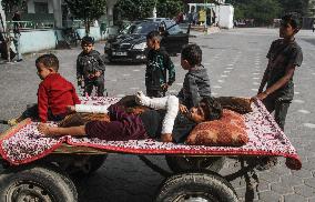 Polio Vaccinations Resume - Gaza