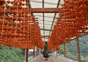 Production of skewered persimmons in western Japan