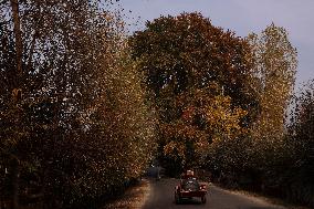 Autumn In Kashmir