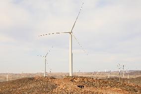 Wind Power Production