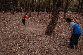 Autumn In Kashmir