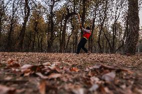 Autumn In Kashmir